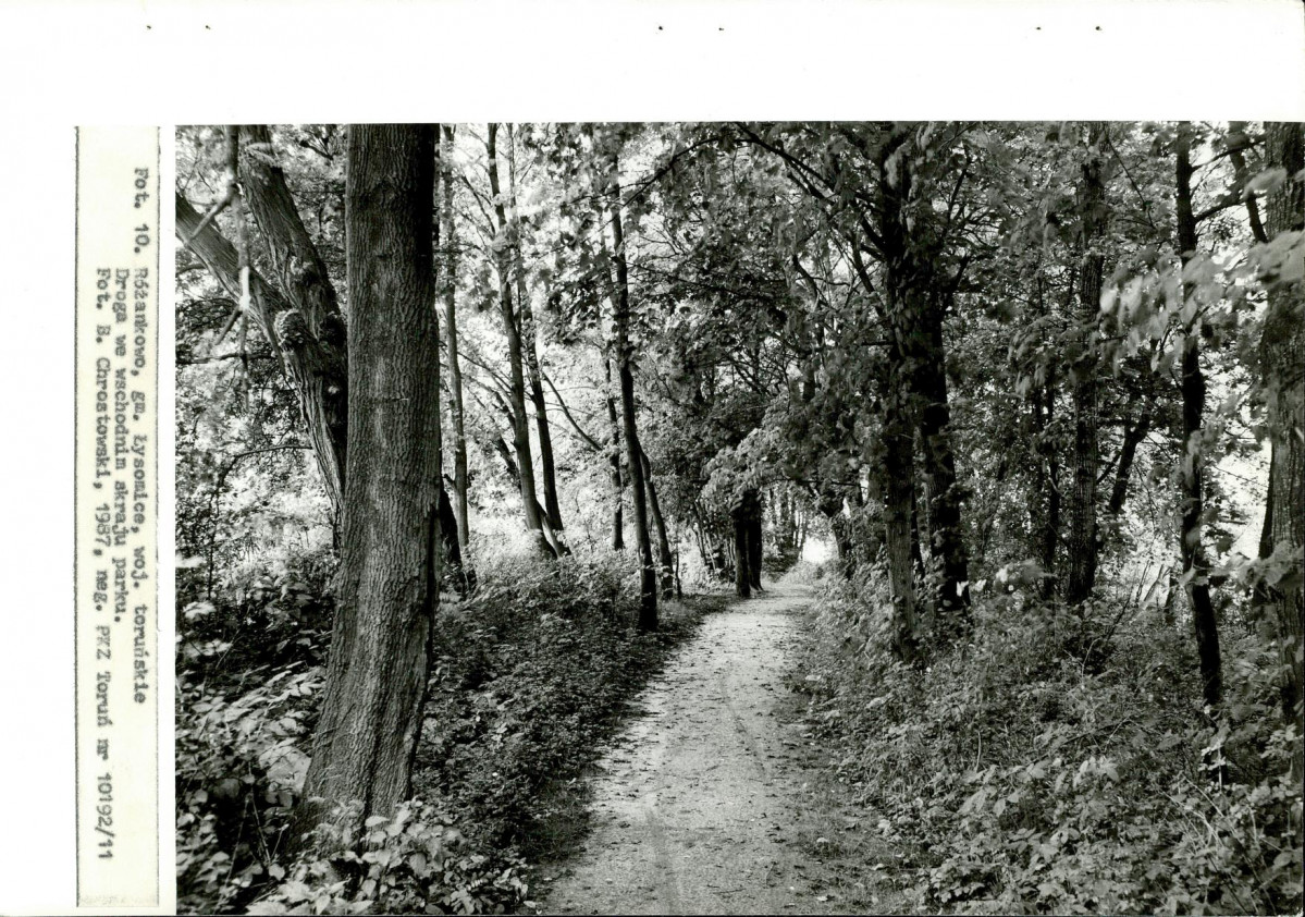 EP - Ewidencja parkowa, skan nr 31