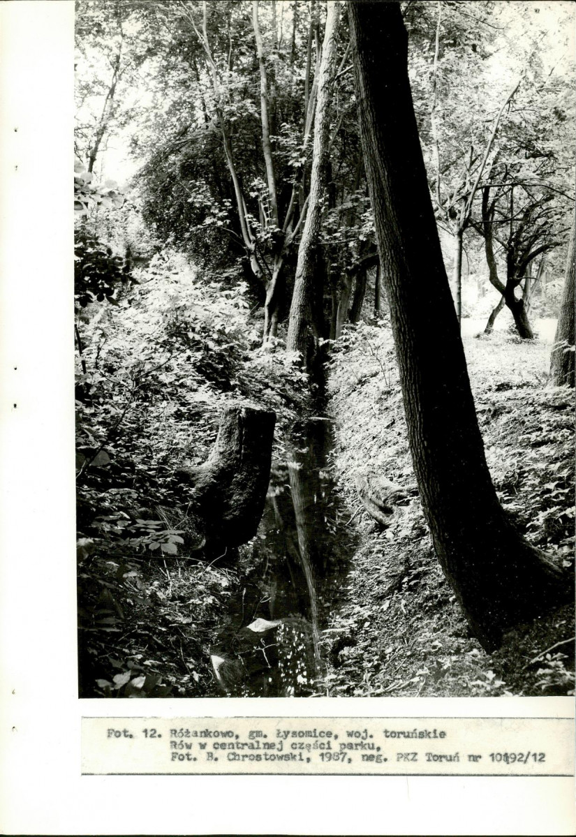 EP - Ewidencja parkowa, skan nr 33