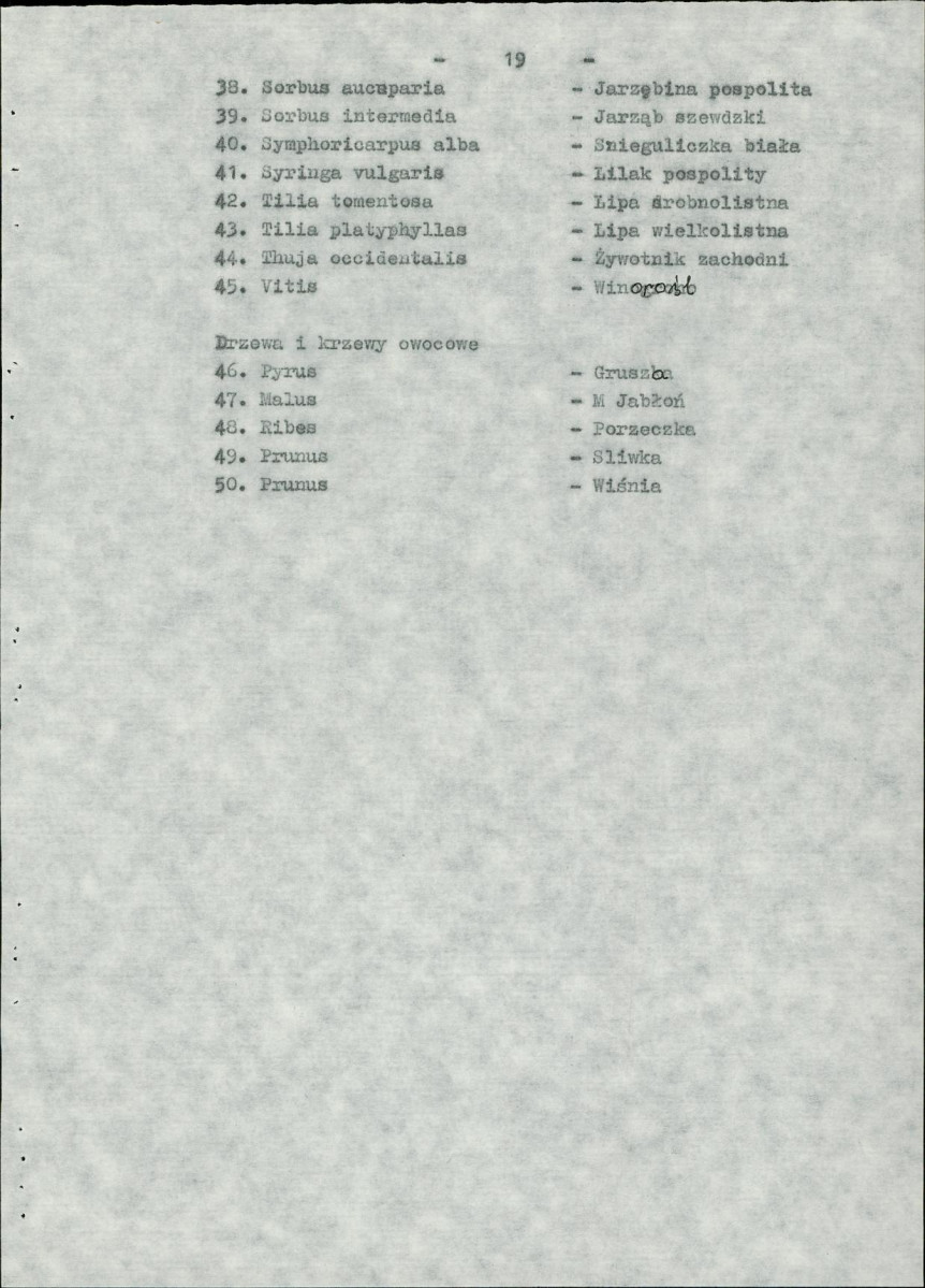 Ewidencja parkowa, skan nr 33