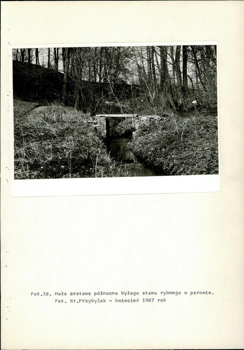 Ewidencja parkowa, skan nr 61