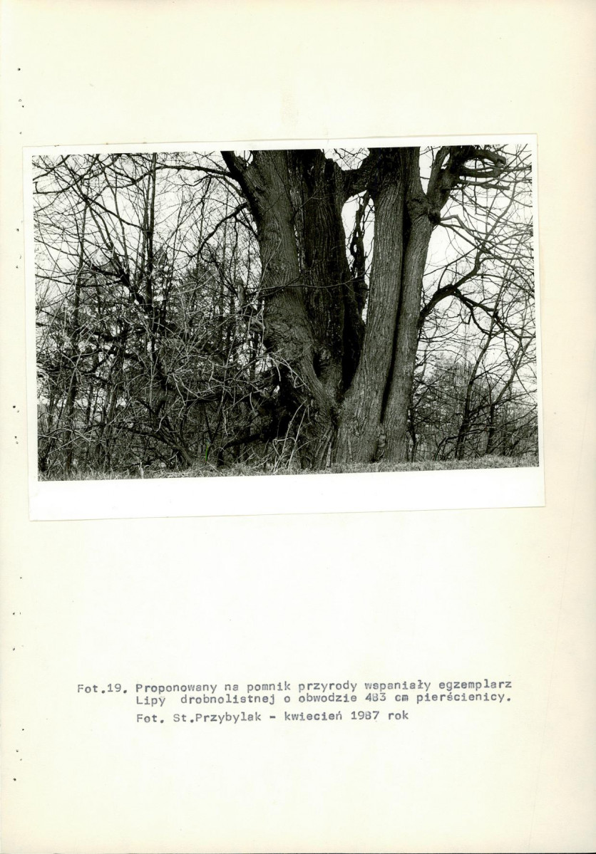 Ewidencja parkowa, skan nr 62