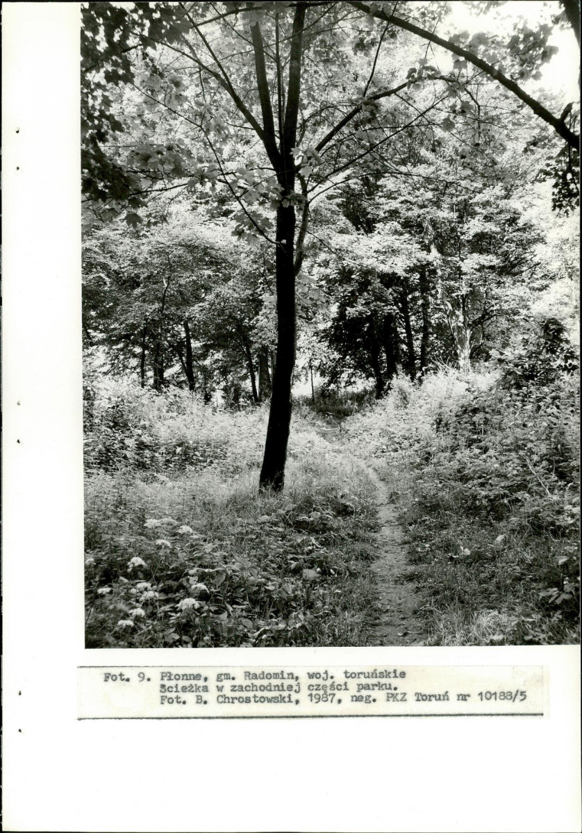 EP - Ewidencja parkowa, skan nr 40