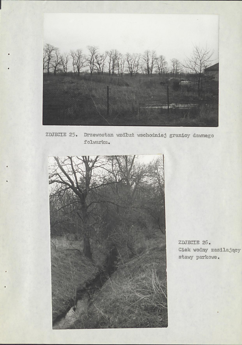 Ewidencja parkowa, skan nr 44