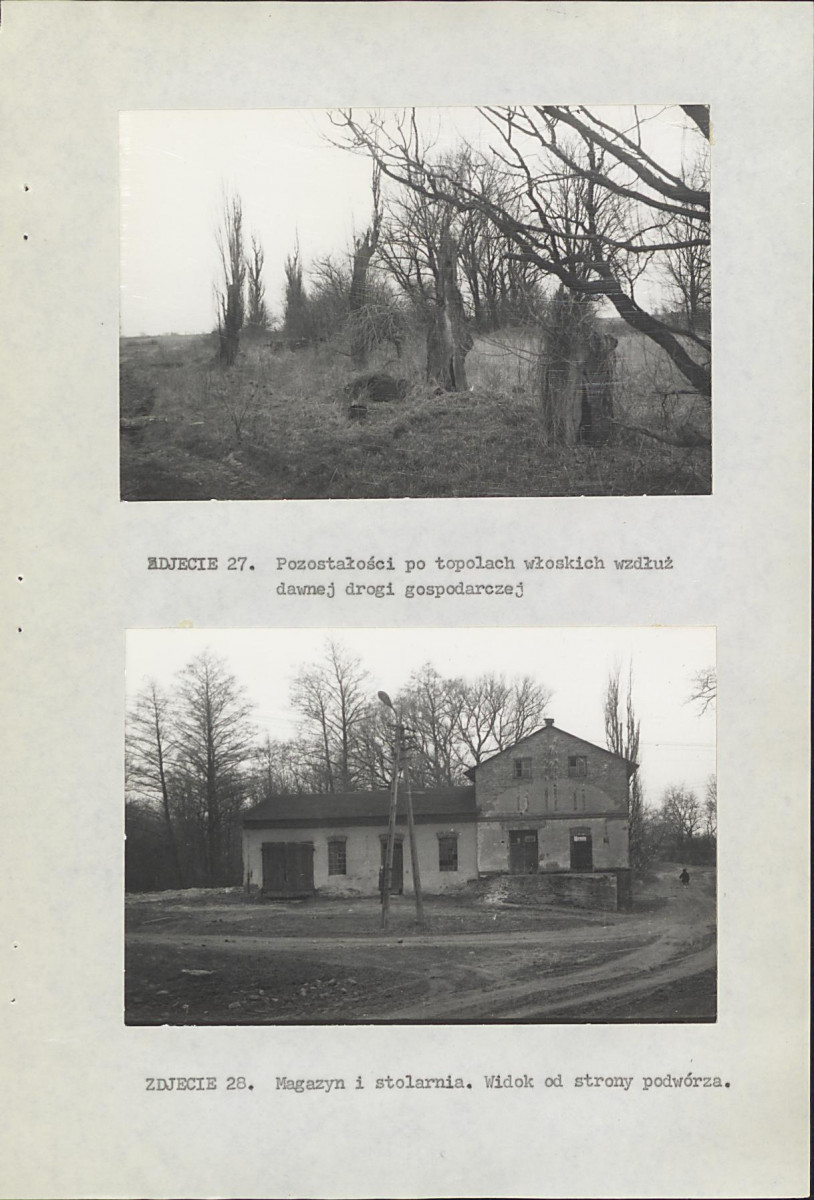 Ewidencja parkowa, skan nr 45