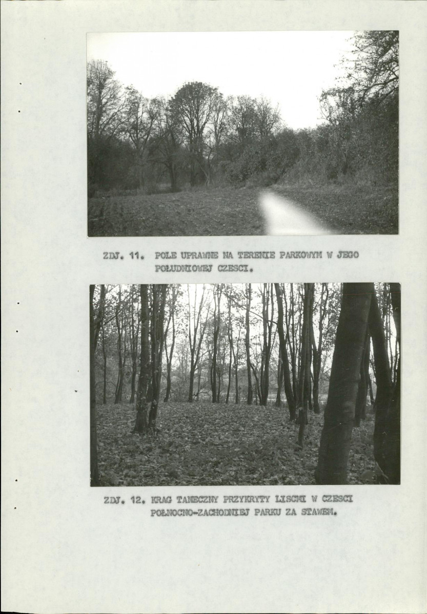 EP - Ewidencja parkowa, skan nr 26