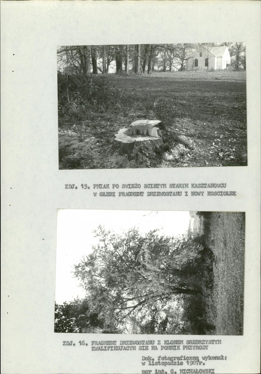 EP - Ewidencja parkowa, skan nr 28