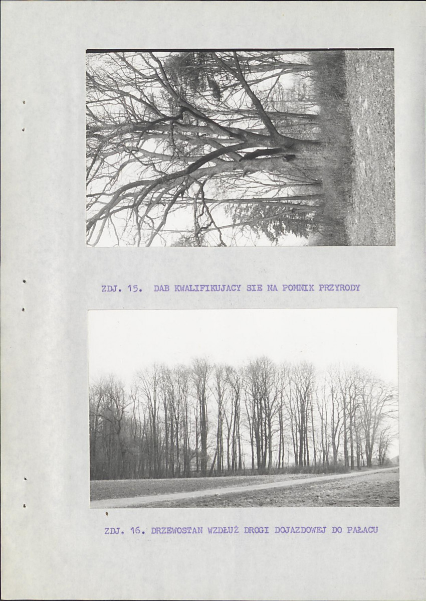 EP - Ewidencja parkowa, skan nr 34