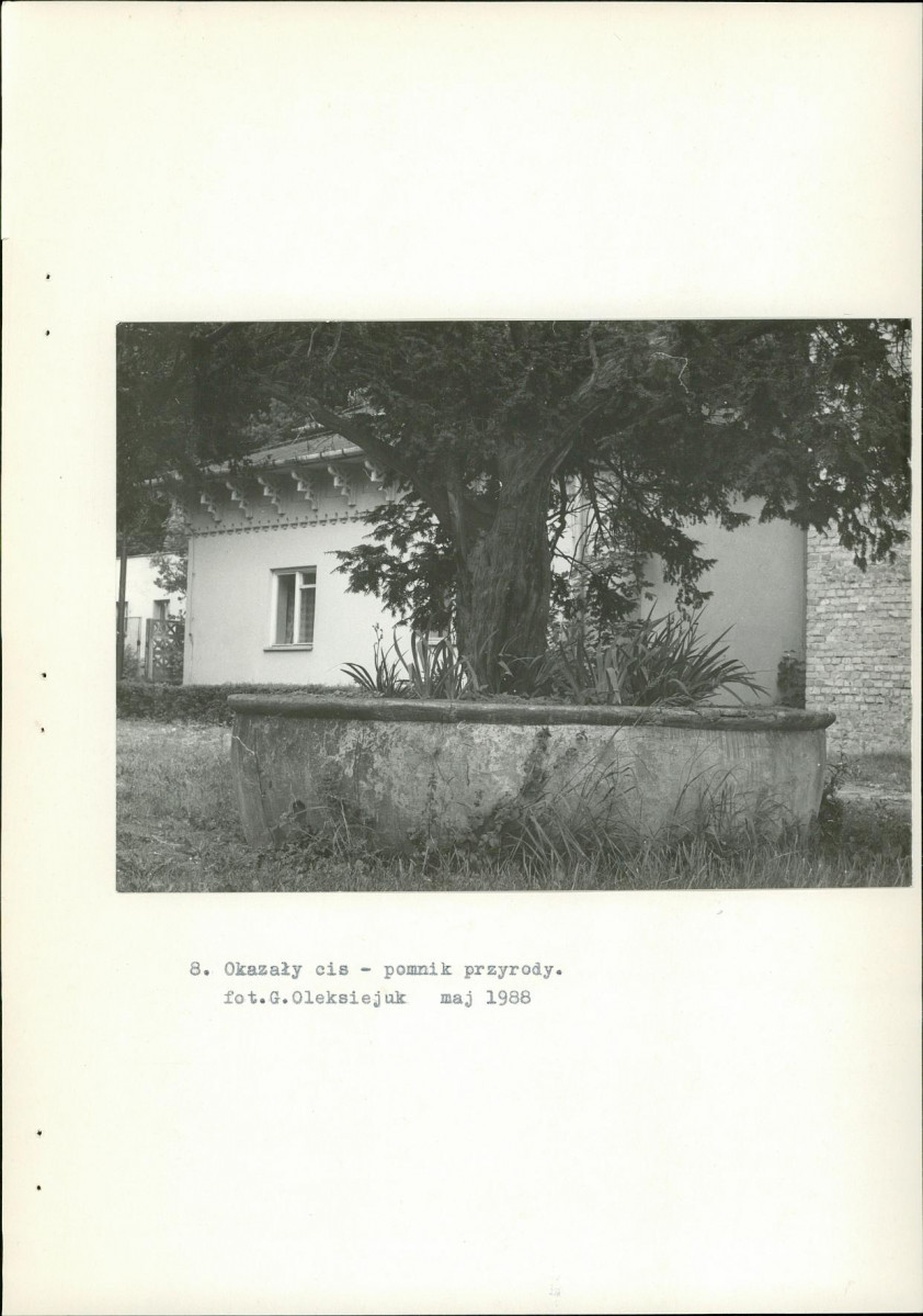 EP - Ewidencja parkowa, skan nr 28
