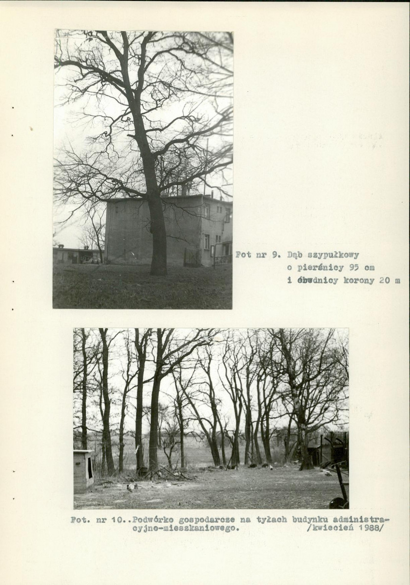 Ewidencja parkowa, skan nr 33