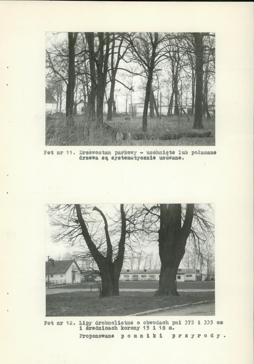 Ewidencja parkowa, skan nr 34