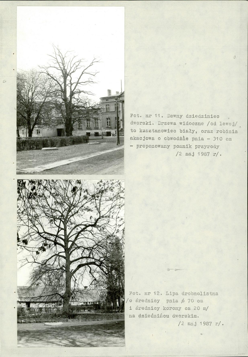 EP - Ewidencja parkowa, skan nr 45