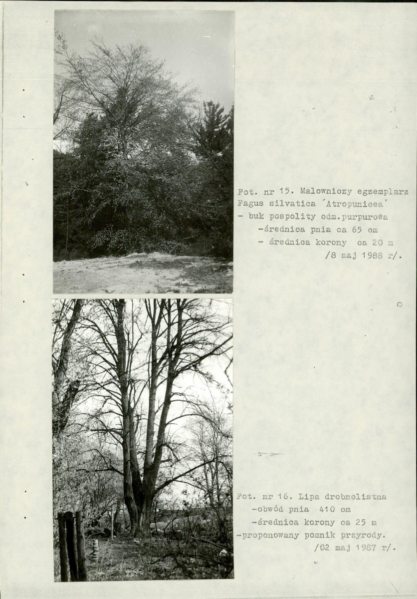 EP - Ewidencja parkowa, skan nr 47