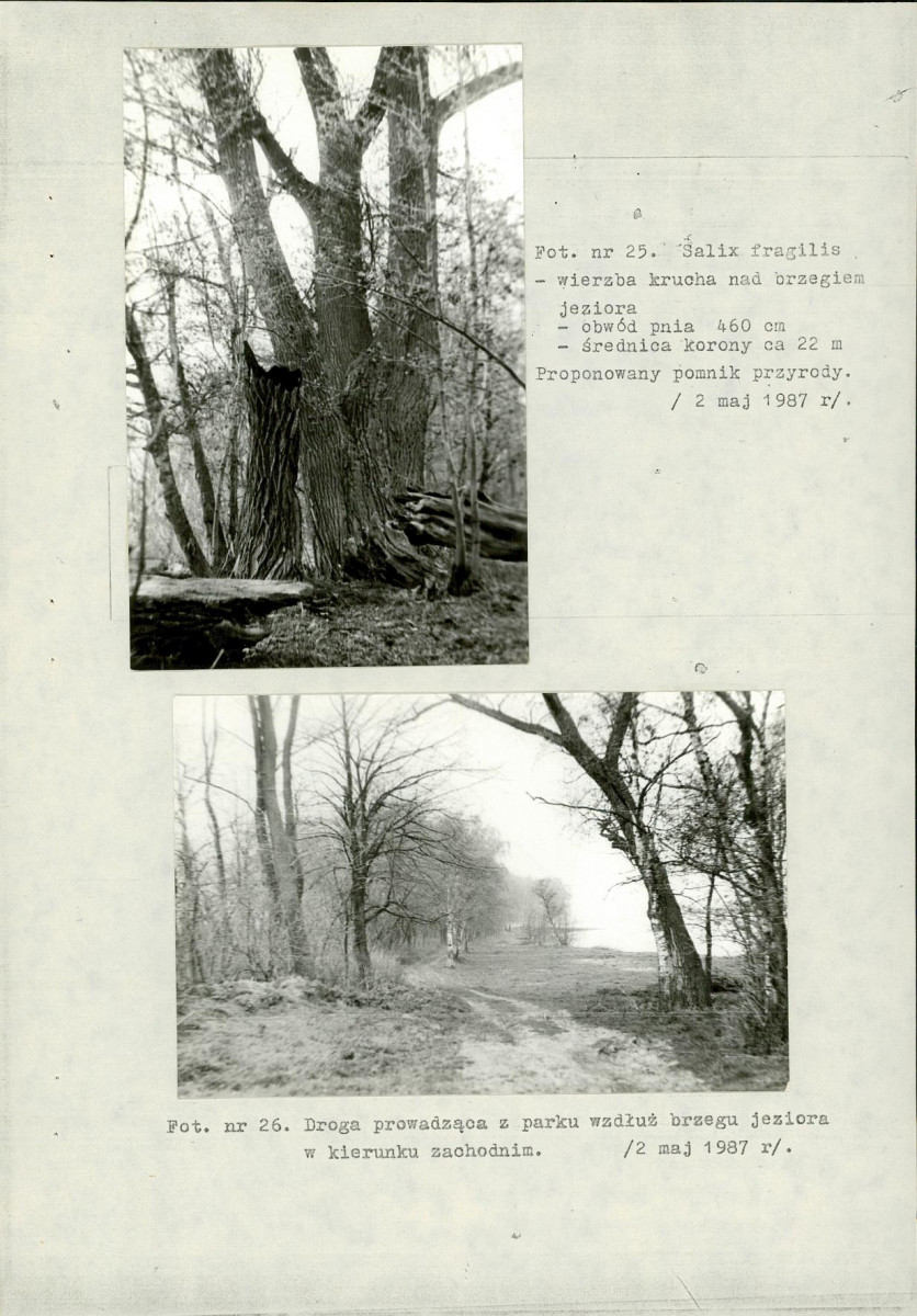 EP - Ewidencja parkowa, skan nr 52