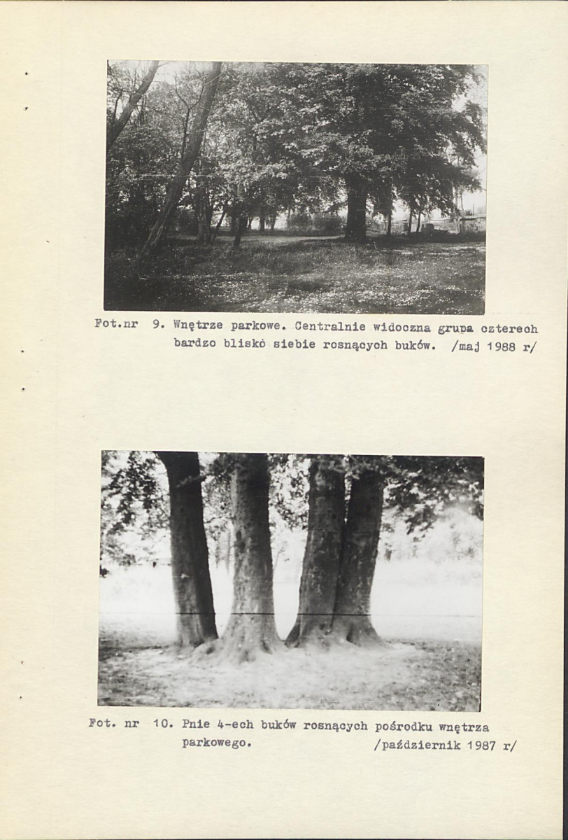 Ewidencja parkowa, skan nr 49