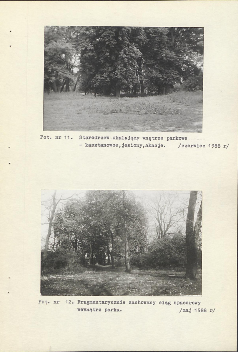 Ewidencja parkowa, skan nr 50