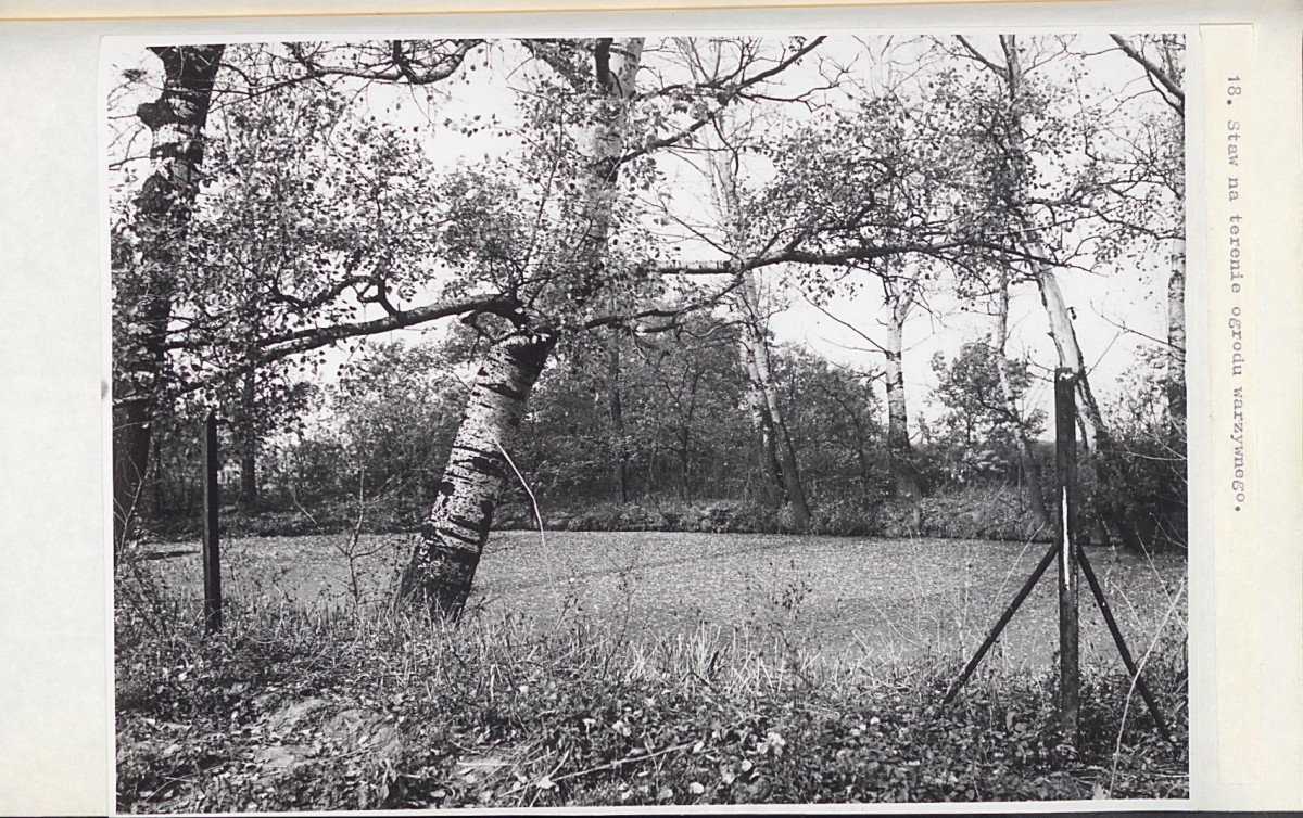EP - Ewidencja parkowa, skan nr 45