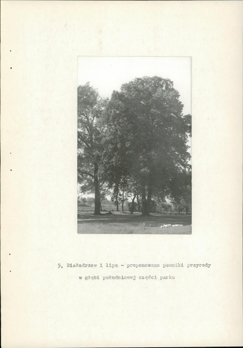 Ewidencja parkowa, skan nr 21