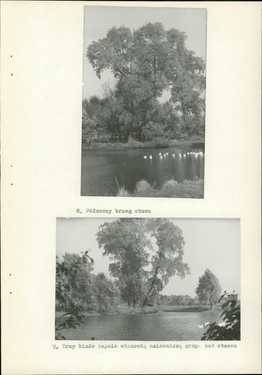 Ewidencja parkowa, skan nr 23