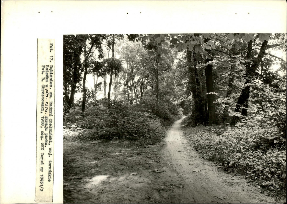 EP - Ewidencja parkowa, skan nr 40