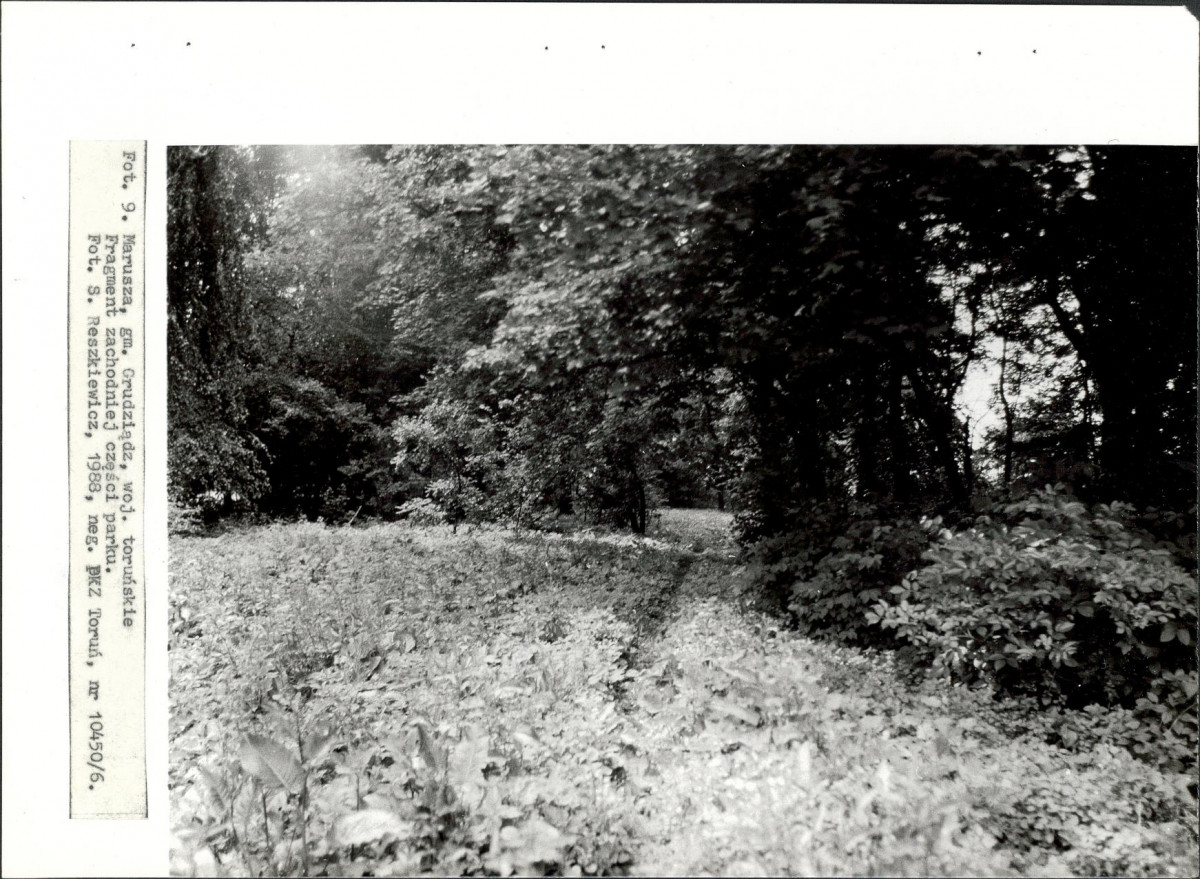 EP - Ewidencja parkowa, skan nr 33