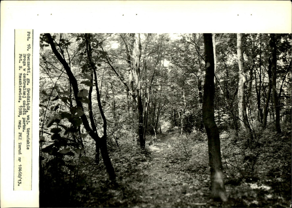 EP - Ewidencja parkowa, skan nr 31