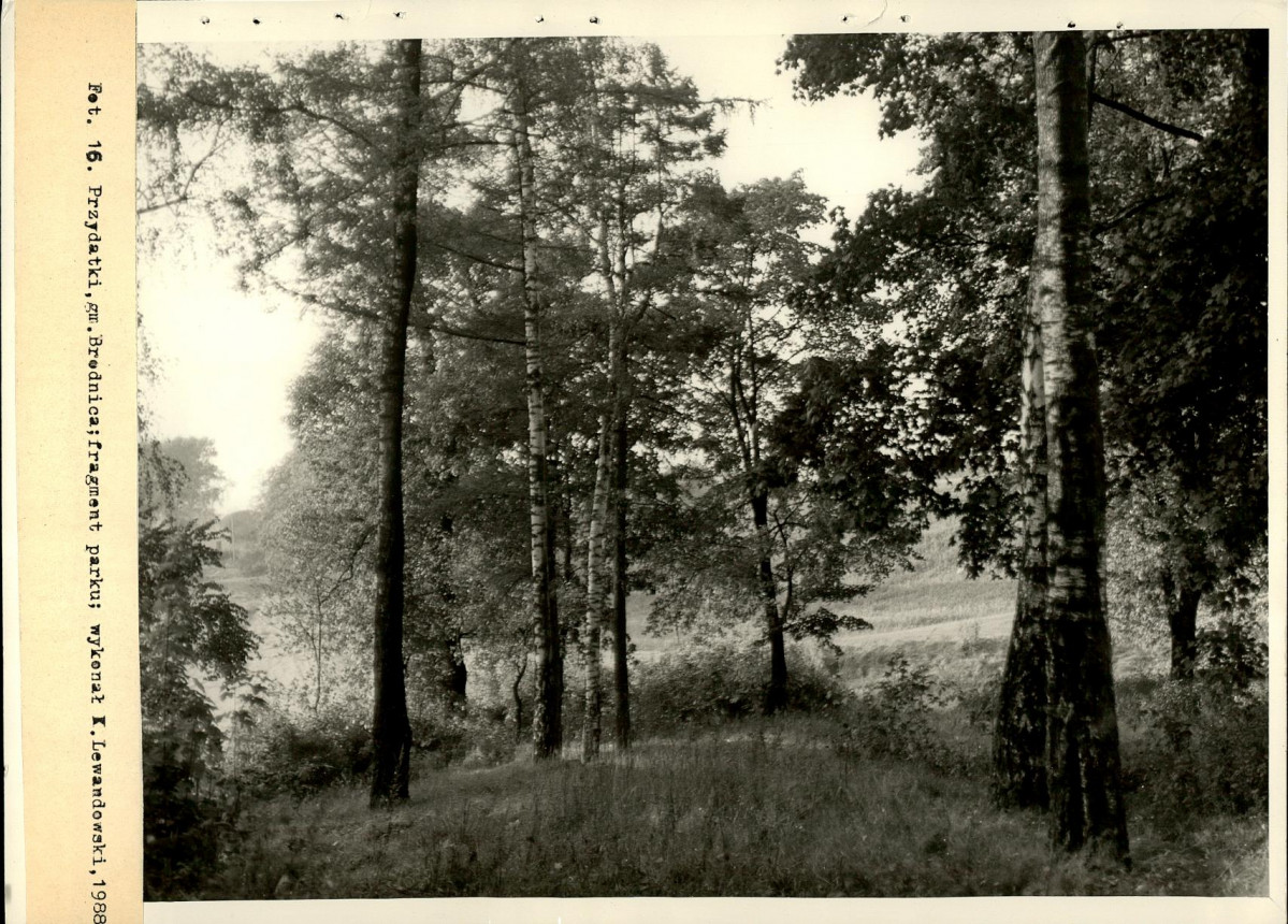 EP - Ewidencja parkowa, skan nr 34
