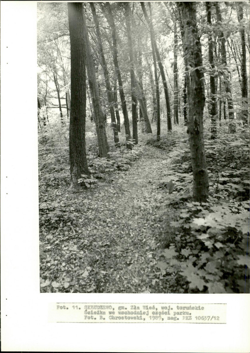 EP - Ewidencja parkowa, skan nr 36