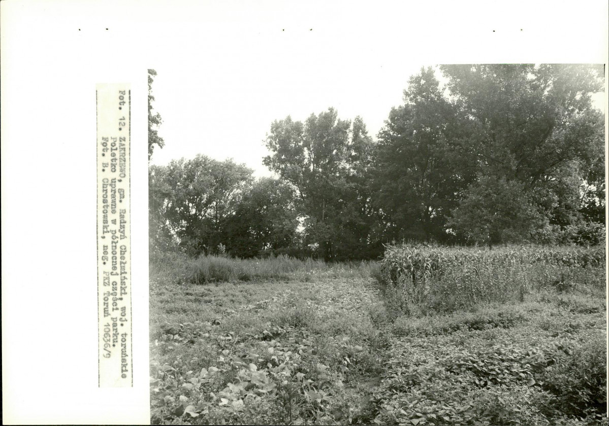 EP - Ewidencja parkowa, skan nr 33