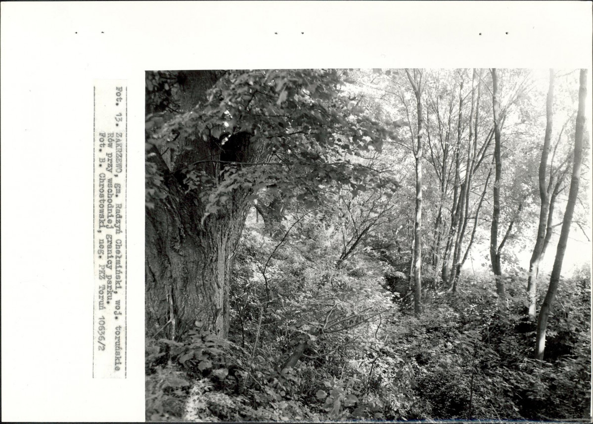EP - Ewidencja parkowa, skan nr 34