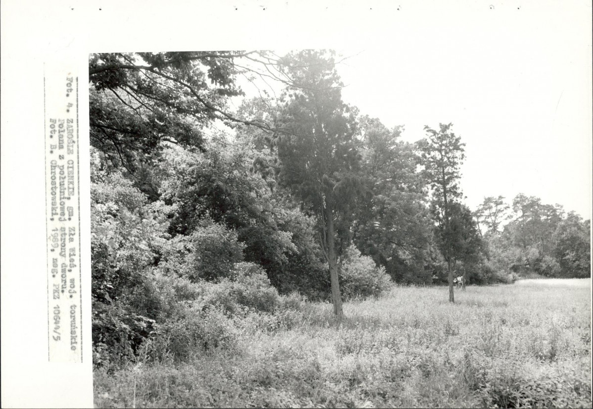 EP - Ewidencja parkowa, skan nr 23