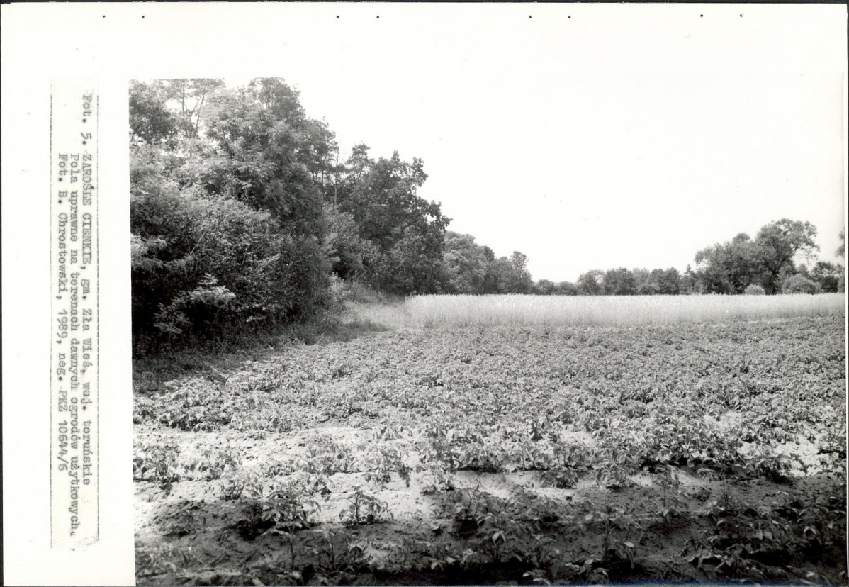 EP - Ewidencja parkowa, skan nr 24