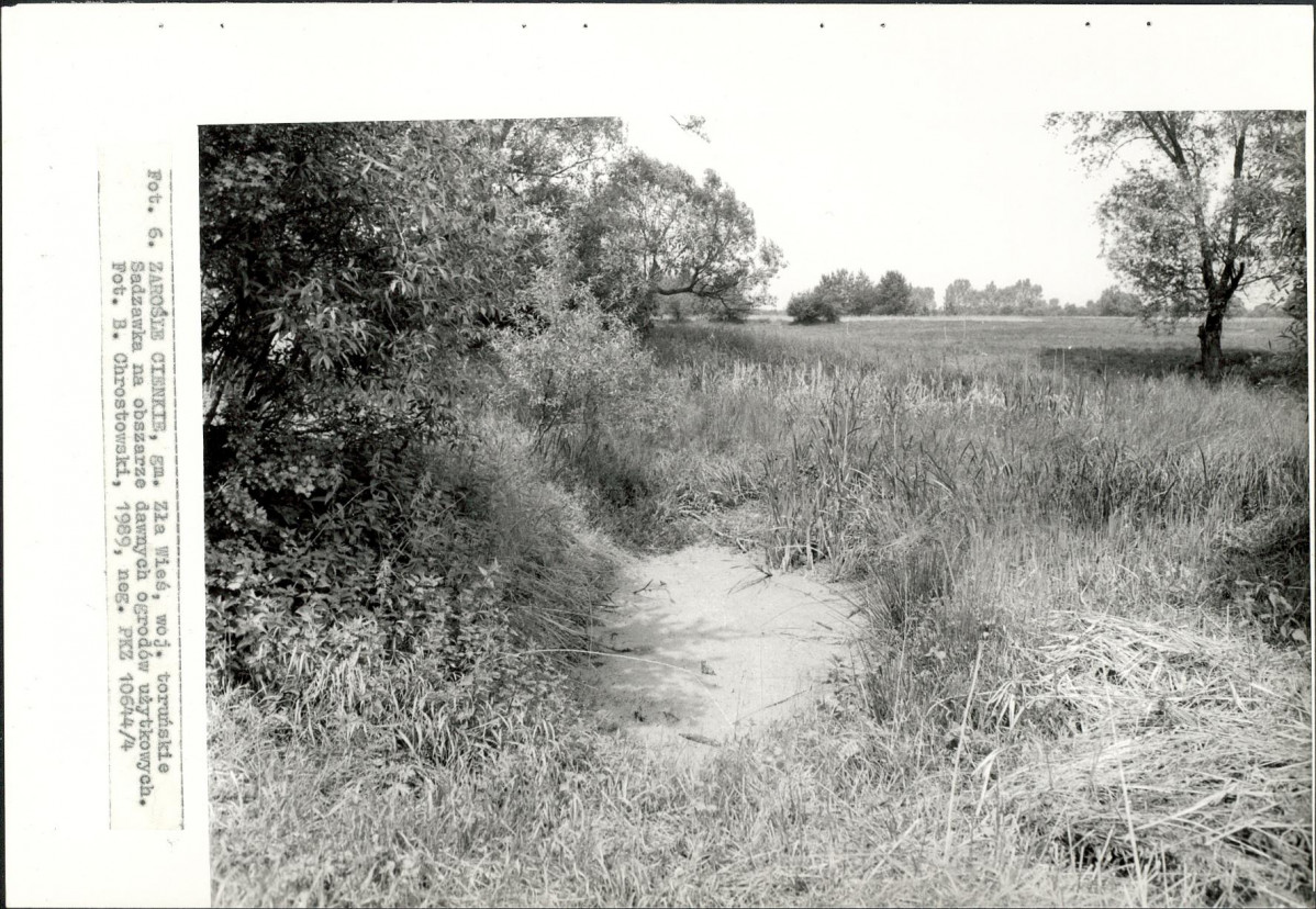 EP - Ewidencja parkowa, skan nr 25