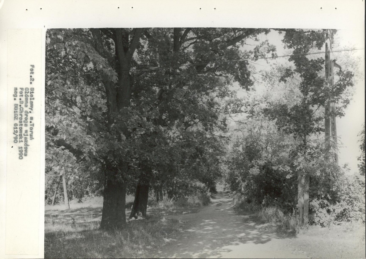 Ewidencja parkowa, skan nr 33