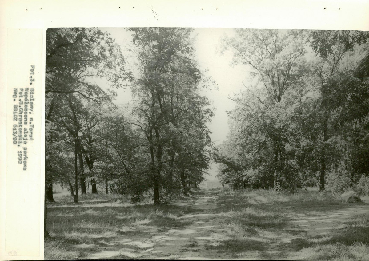 Ewidencja parkowa, skan nr 34