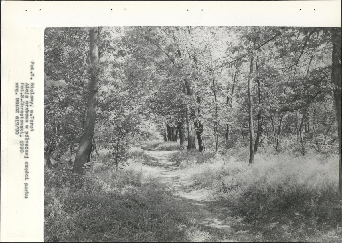 Ewidencja parkowa, skan nr 40