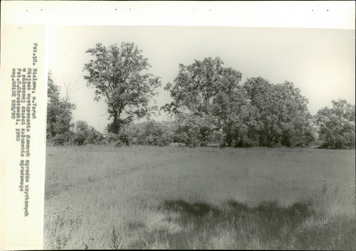 Ewidencja parkowa, skan nr 41
