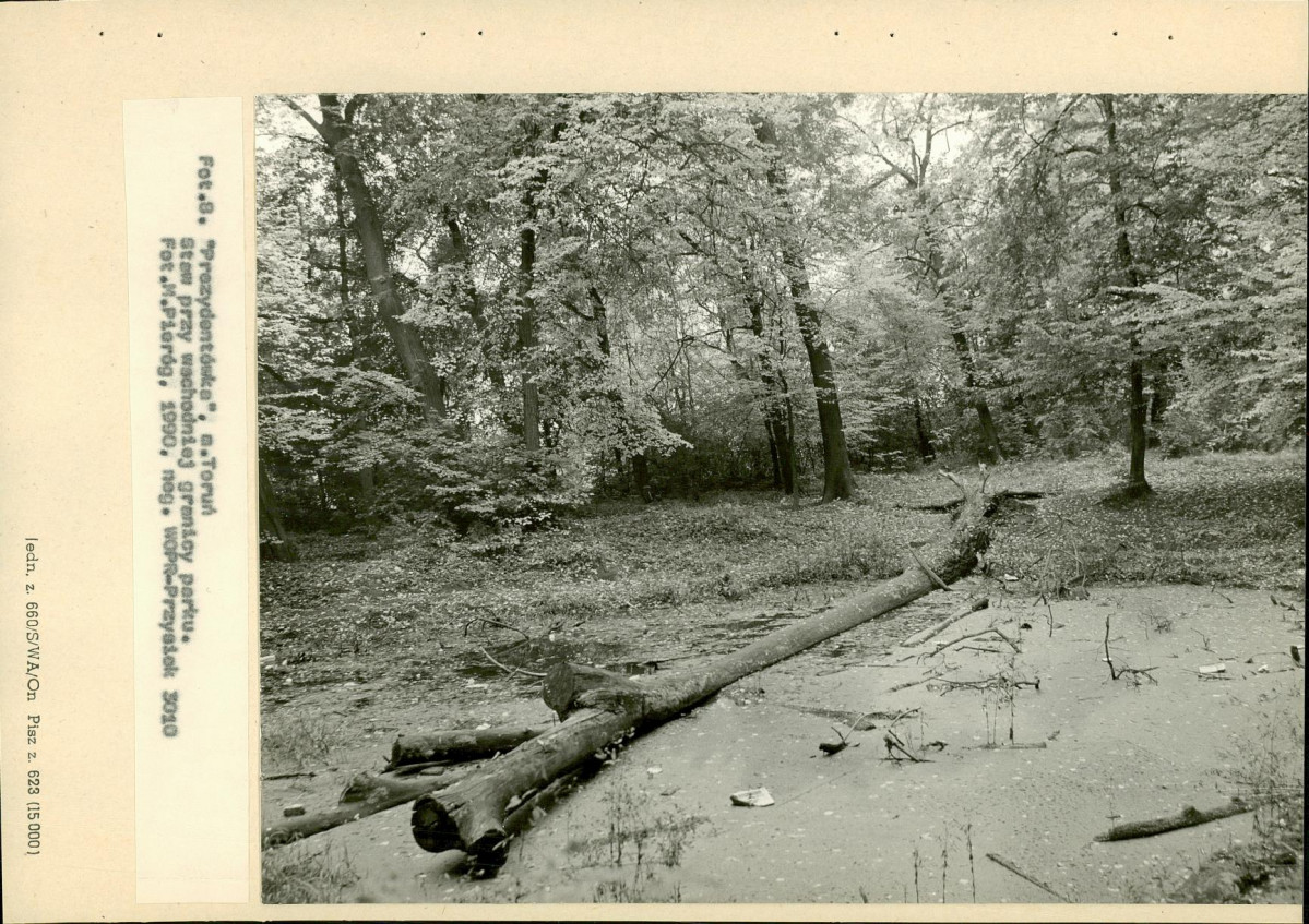 Ewidencja parkowa, skan nr 48