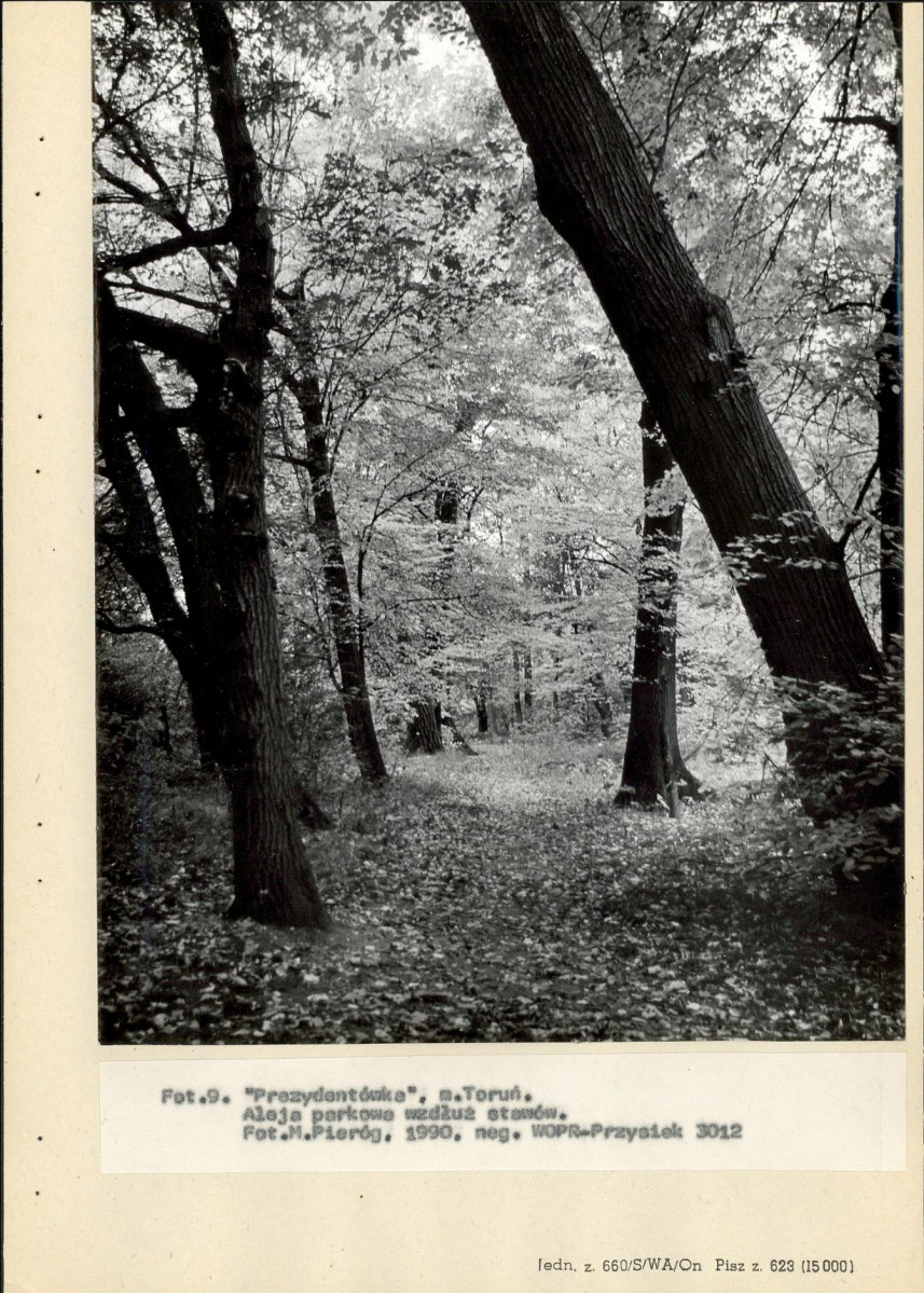 Ewidencja parkowa, skan nr 49