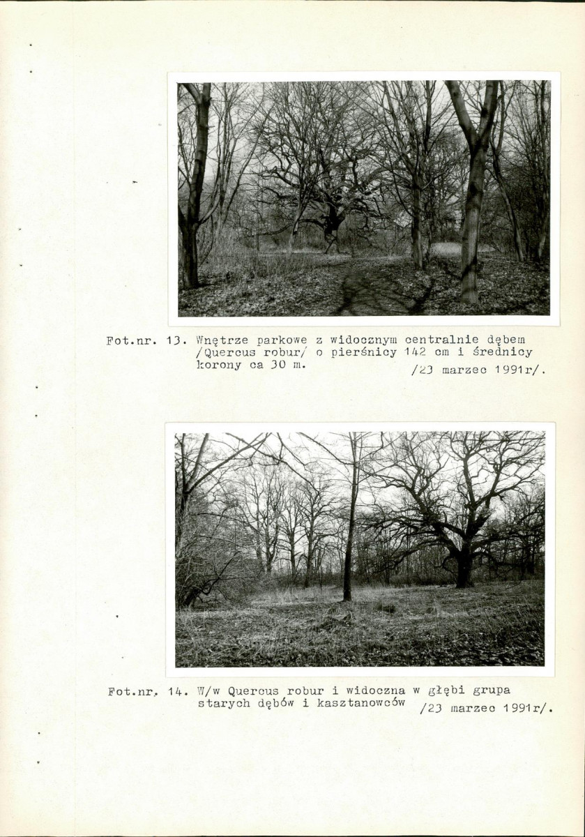 EP - Ewidencja parkowa, skan nr 45