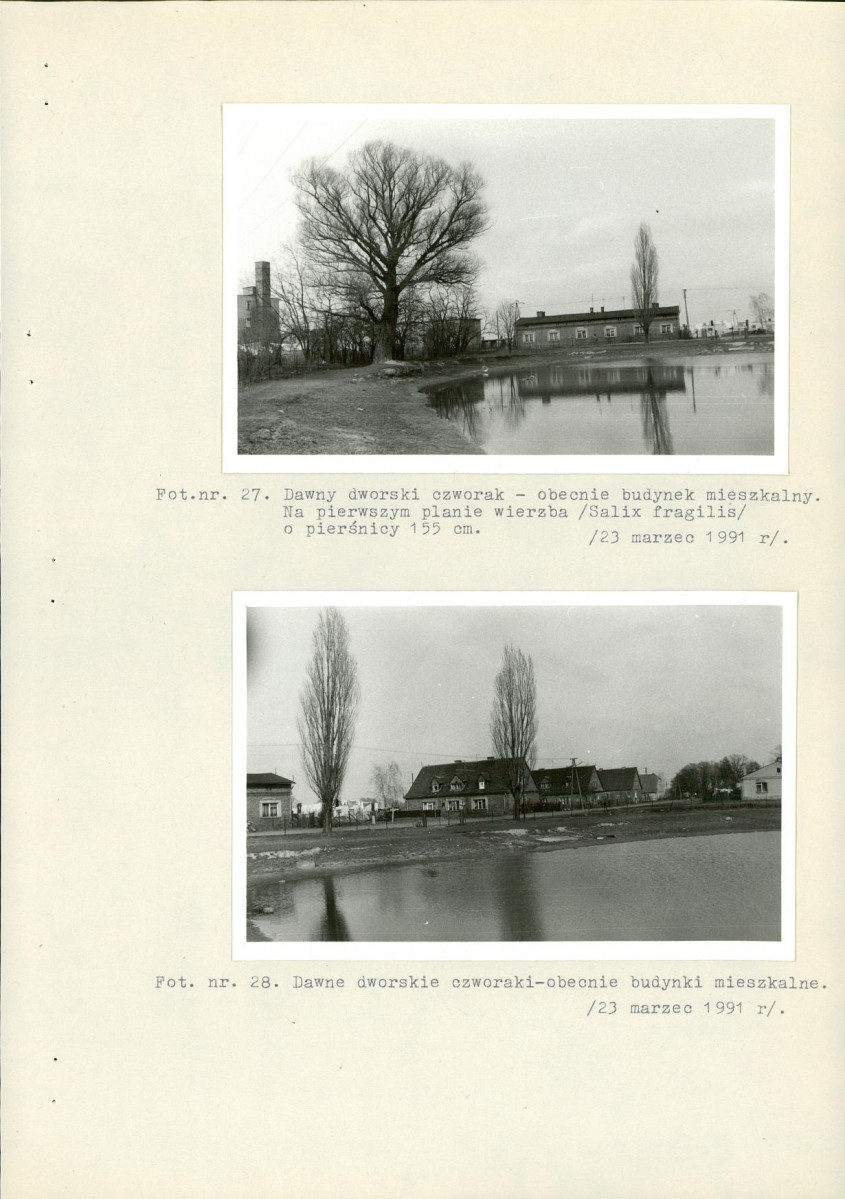 EP - Ewidencja parkowa, skan nr 52