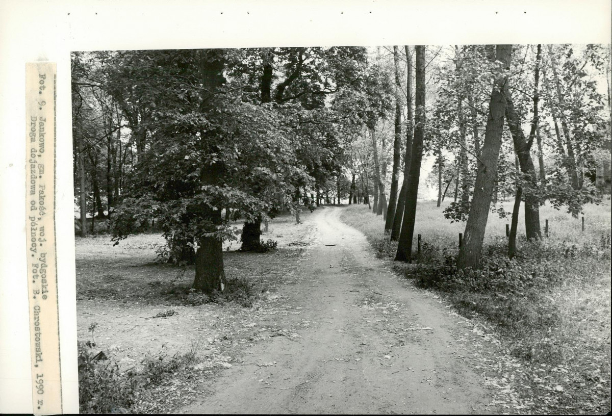 EP - Ewidencja parkowa, skan nr 40