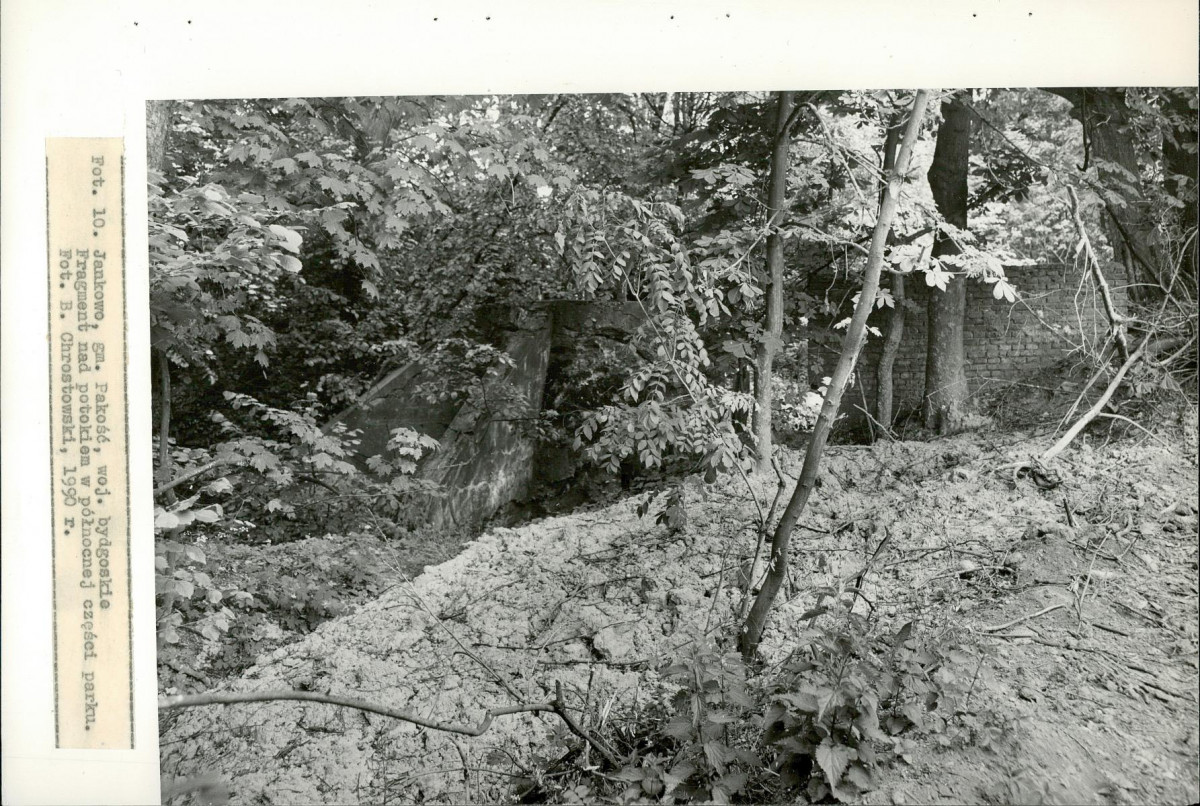 EP - Ewidencja parkowa, skan nr 41