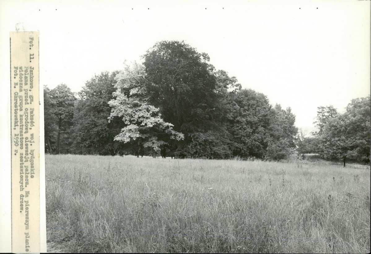 EP - Ewidencja parkowa, skan nr 42