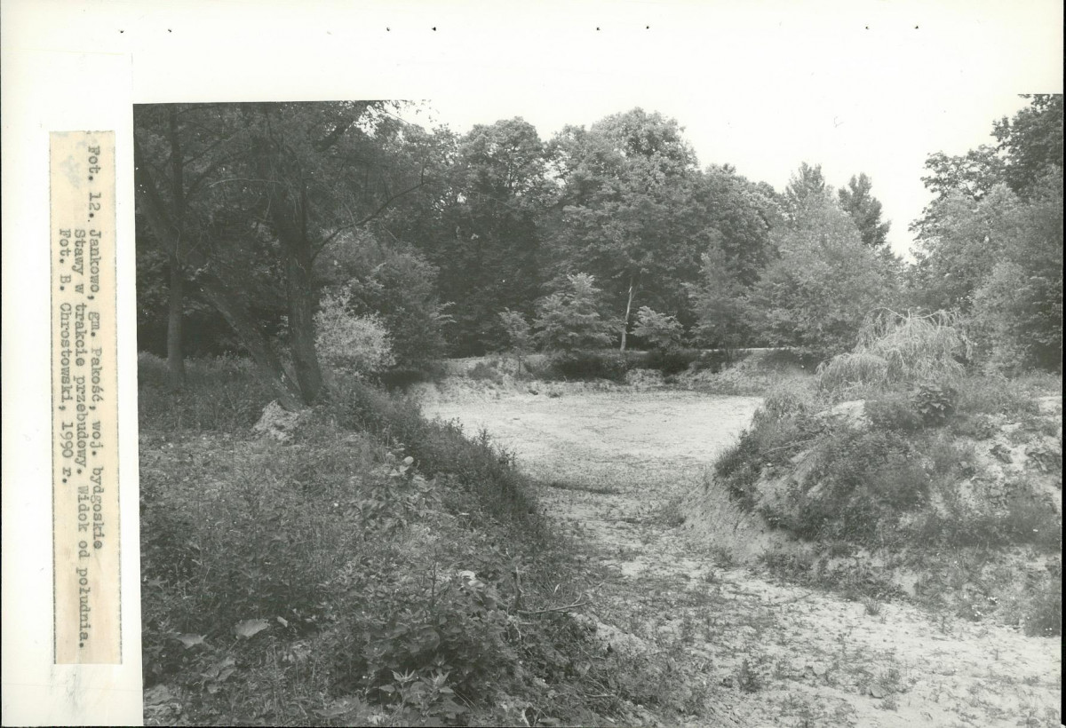 EP - Ewidencja parkowa, skan nr 43