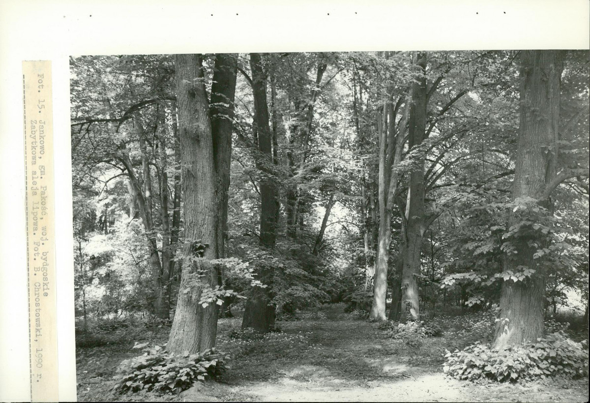 EP - Ewidencja parkowa, skan nr 46