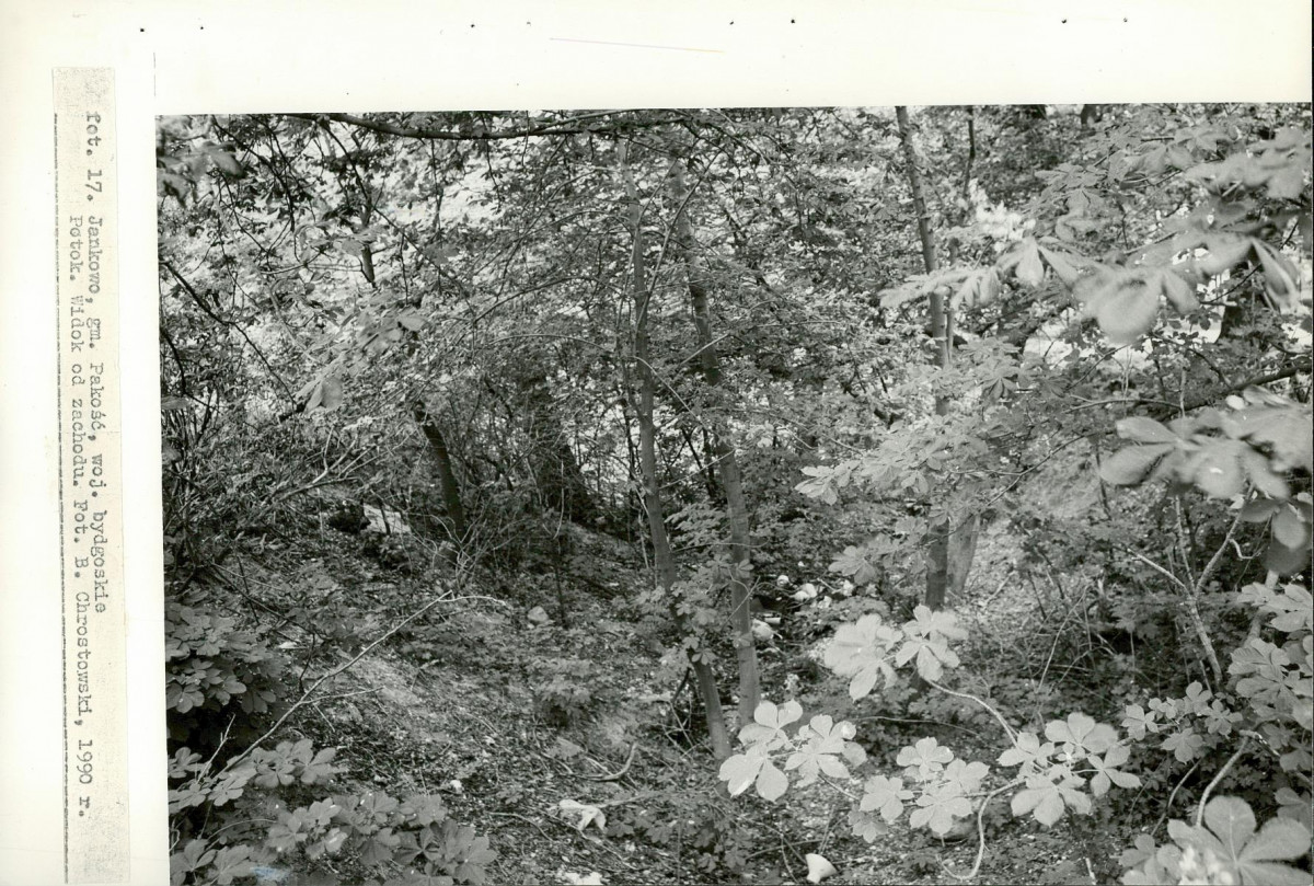 EP - Ewidencja parkowa, skan nr 48