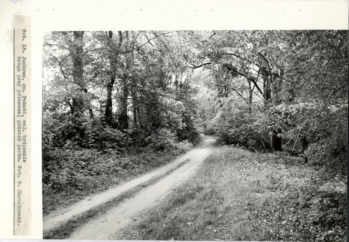 EP - Ewidencja parkowa, skan nr 49