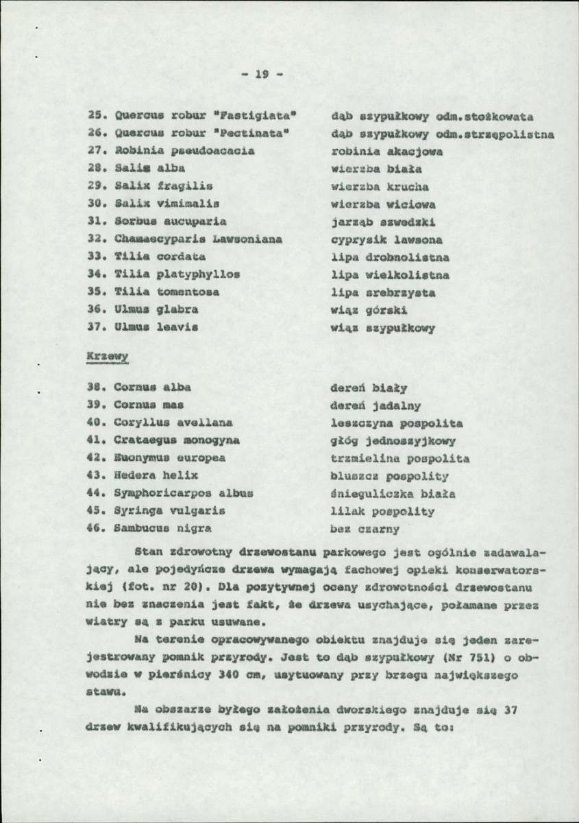 Ewidencja parkowa, skan nr 28