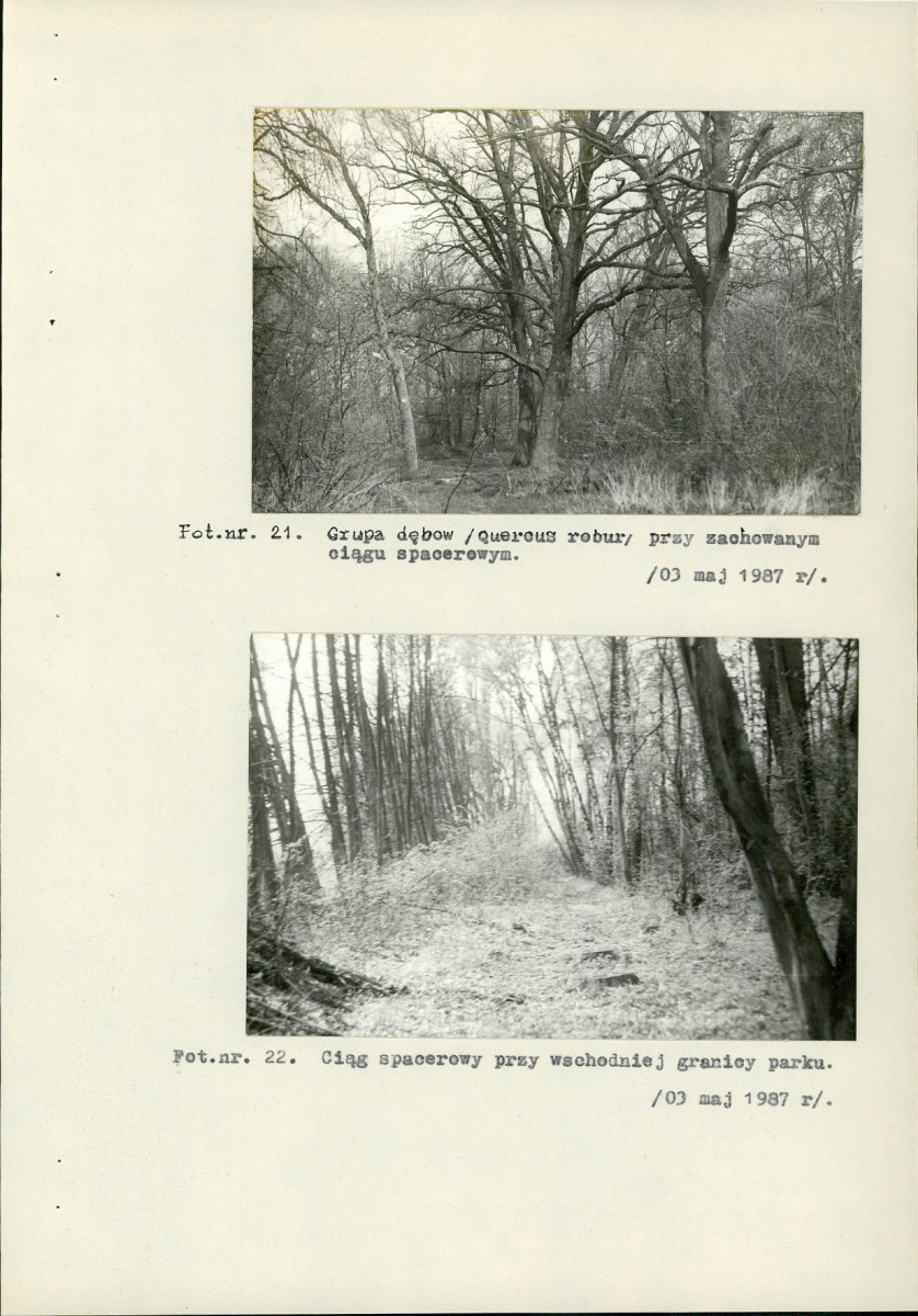 Ewidencja parkowa, skan nr 47