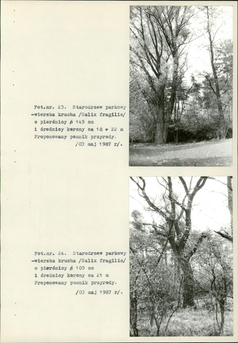 Ewidencja parkowa, skan nr 48